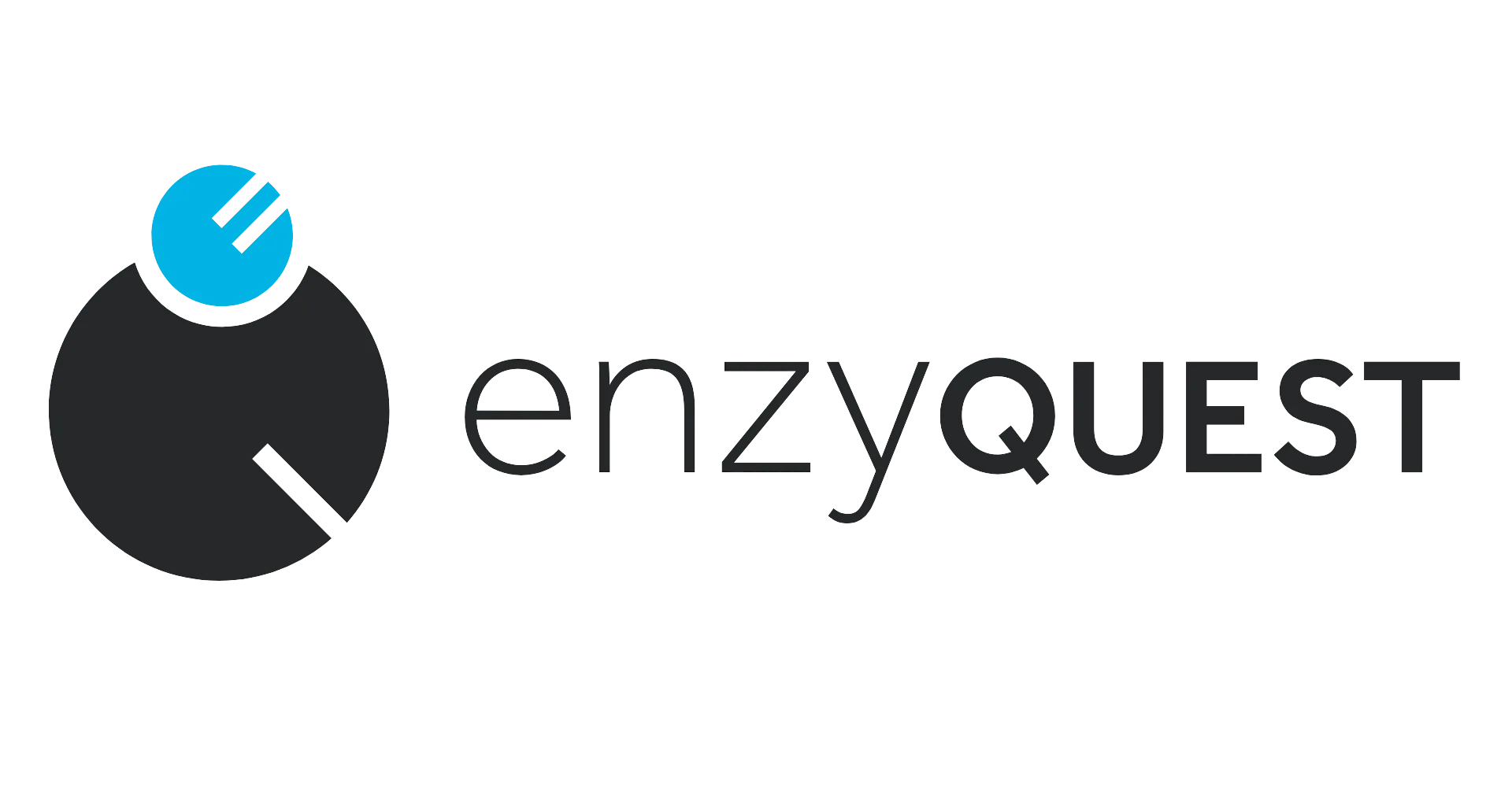Enzyquest